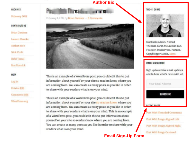 2. Author Bio, Social Media Buttons and Email Sign-Up Form